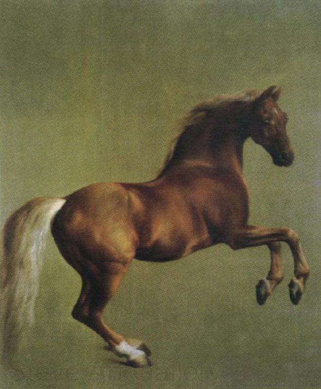 George Stubbs whistlejacket France oil painting art